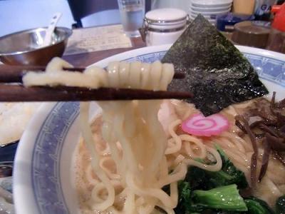 昇家の中太麺のトンコツ魚介系ラーメン